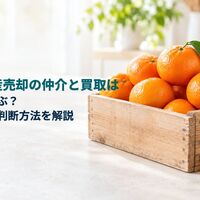 画像8421