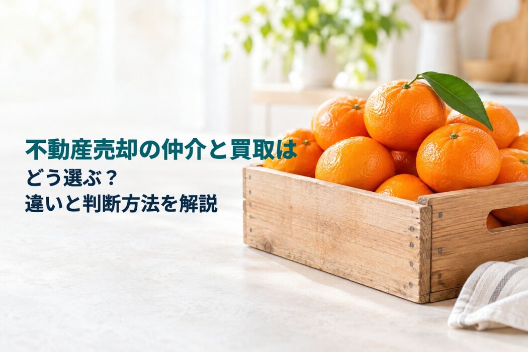 画像8421