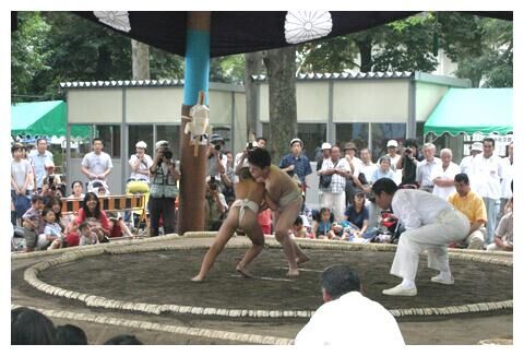 府中神社で八朔相撲祭の画像3