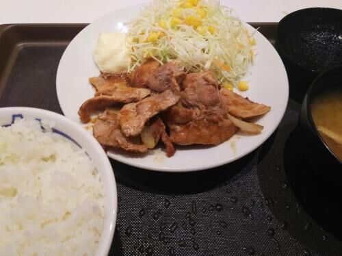 【雑記】娘が帰省中(寄生虫)の画像2