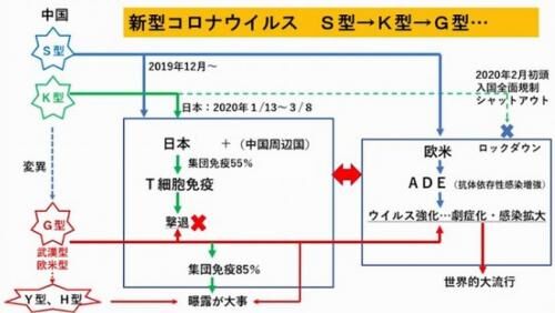 【雑記】上久保教授の集団免疫説の画像3